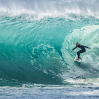 Surf Expo 2020 Surfer