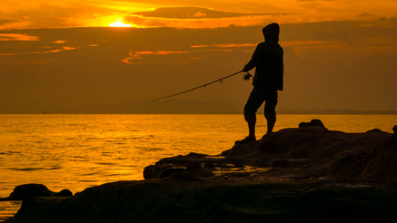 Feature image fishing 